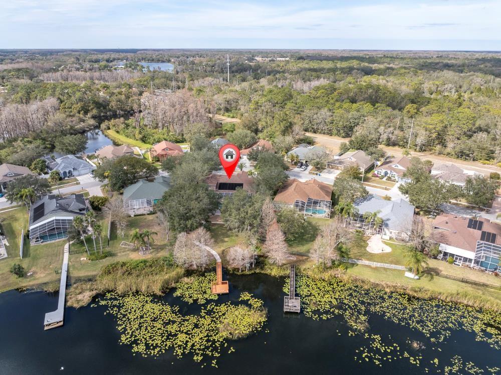 15728 BEREA DR, ODESSA, FL, 33556