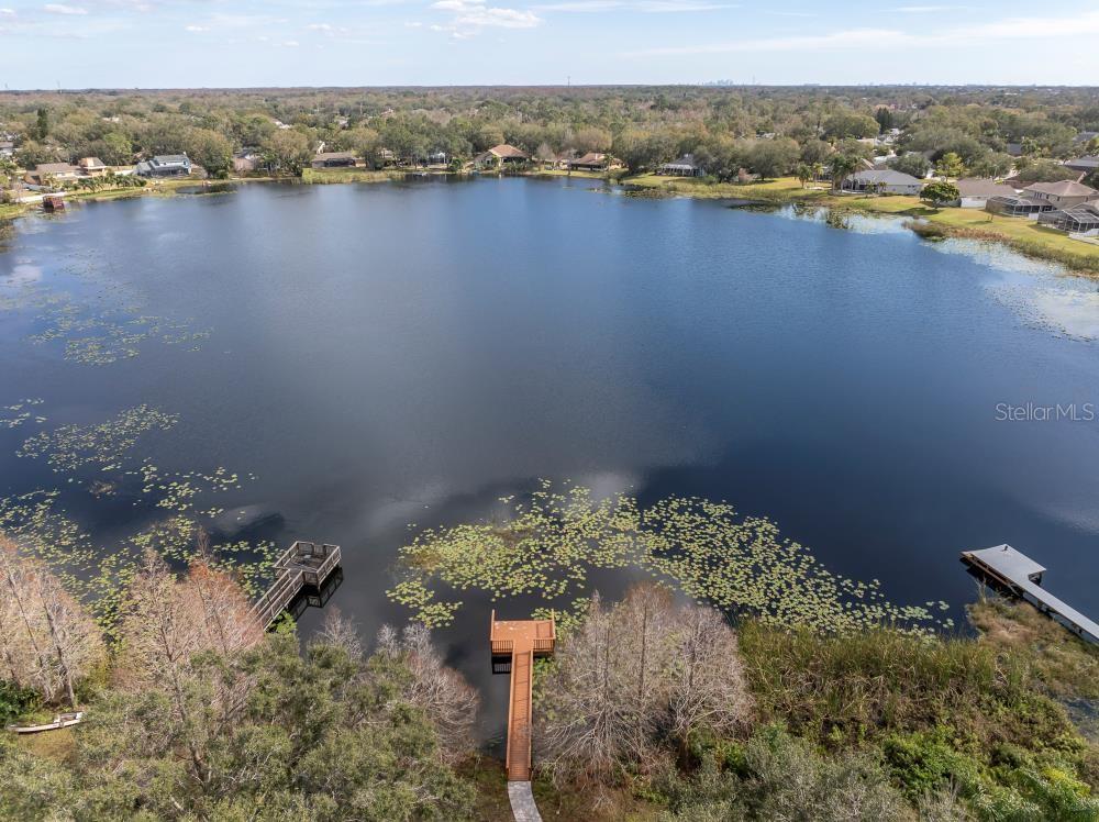 15728 BEREA DR, ODESSA, FL, 33556