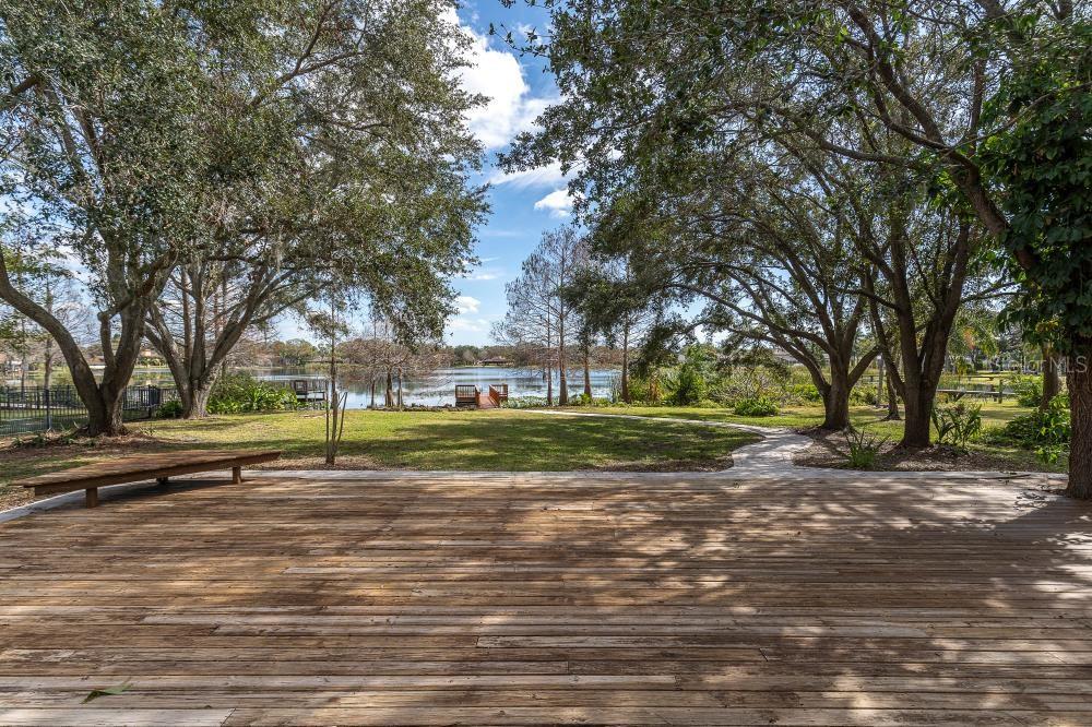 15728 BEREA DR, ODESSA, FL, 33556