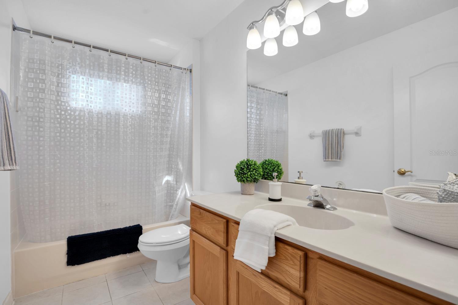 15728 BEREA DR, ODESSA, FL, 33556