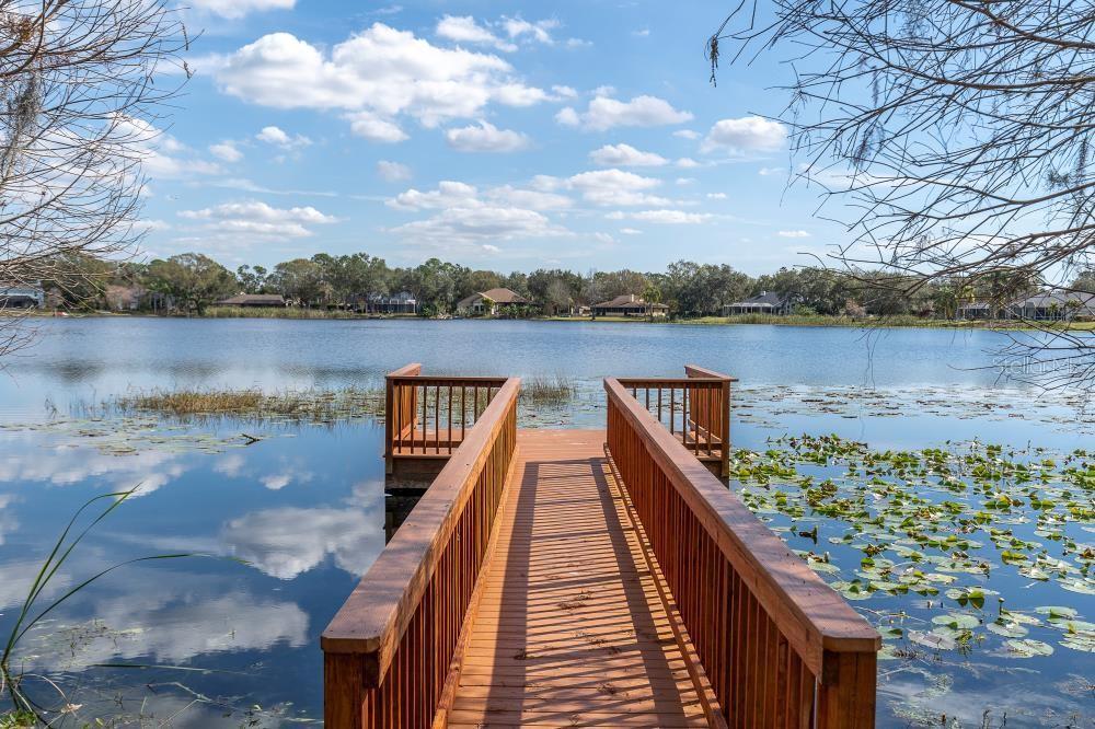 15728 BEREA DR, ODESSA, FL, 33556