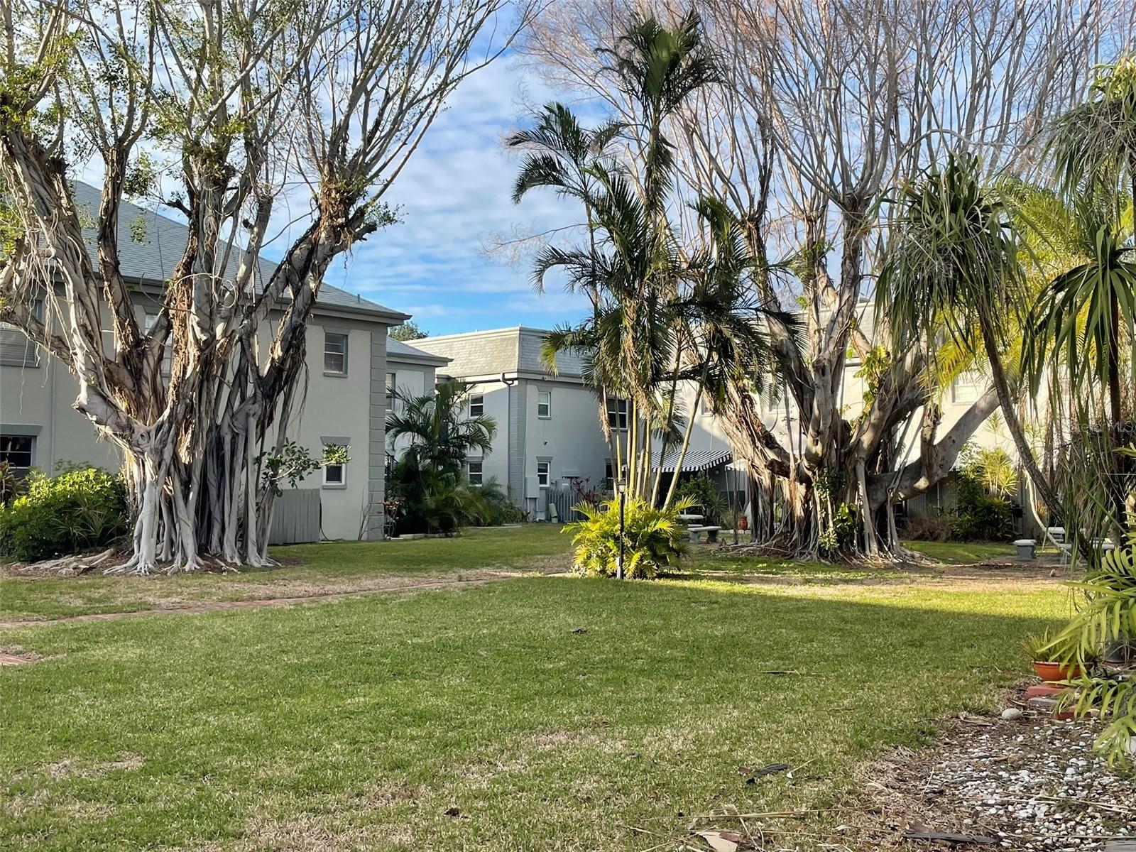 1151 RUE DES CHATEAUX, ST PETERSBURG, FL, 33707