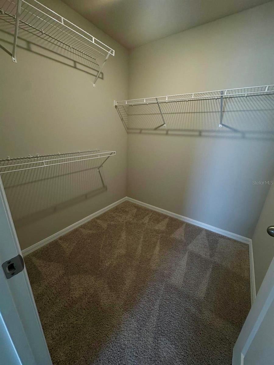 7727 MOMENTUM PKWY, WESLEY CHAPEL, FL, 33545