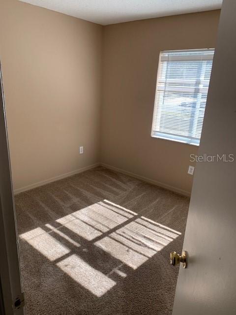 3150 PINE TOP DR, VALRICO, FL, 33594