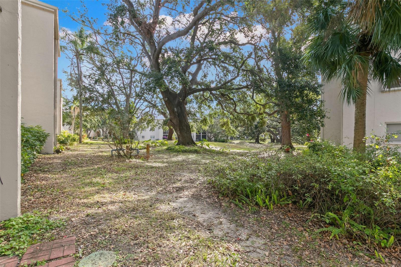 845 MAPLE CT #107, DUNEDIN, FL, 34698