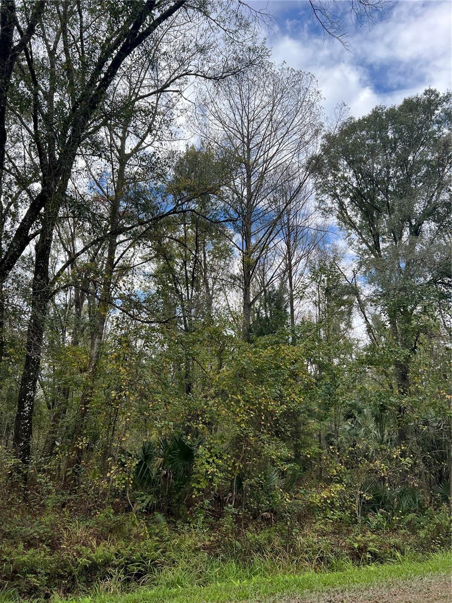 10675 UNDERWOOD AVE, HASTINGS, FL, 32145