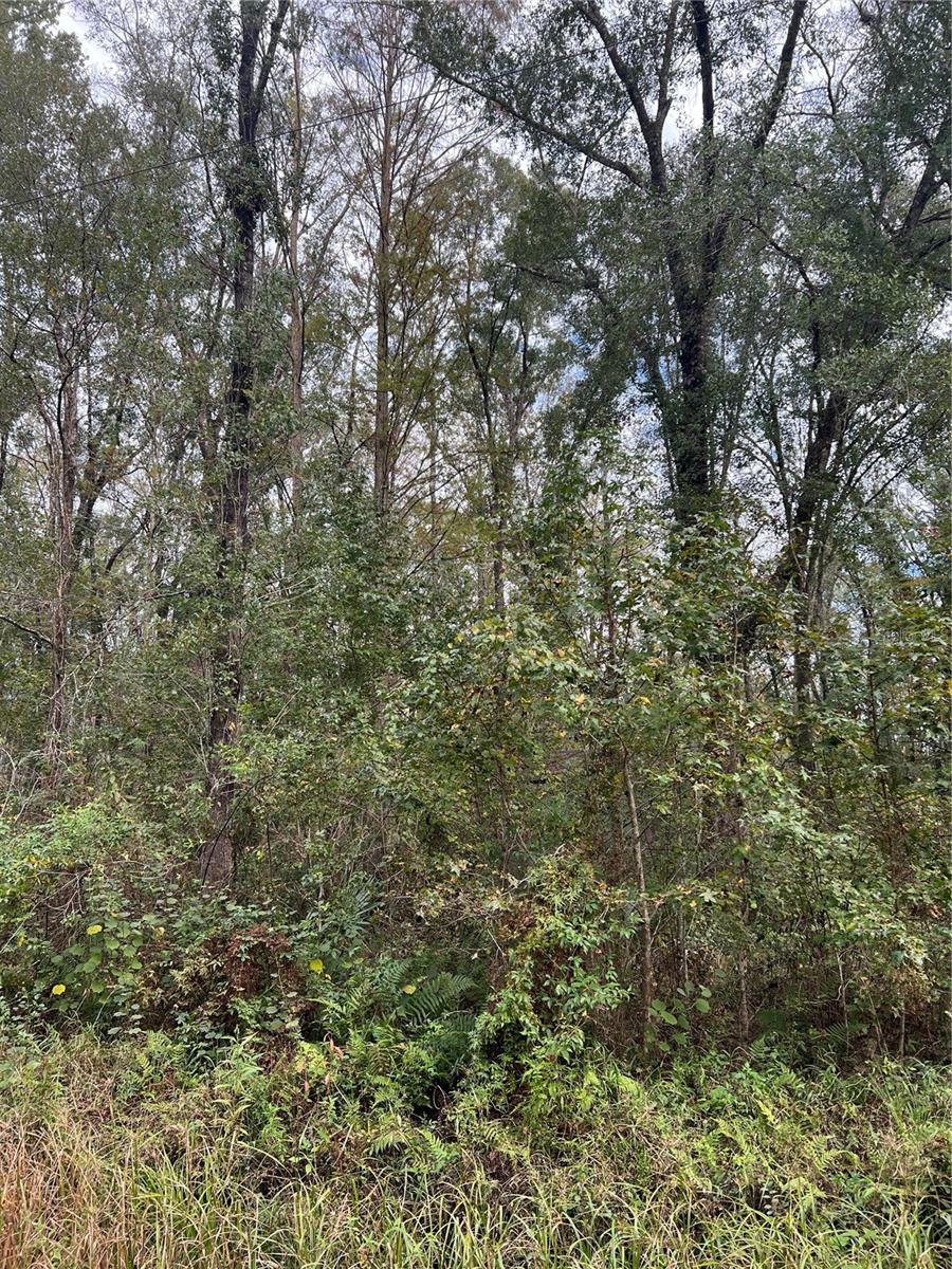 10675 UNDERWOOD AVE, HASTINGS, FL, 32145