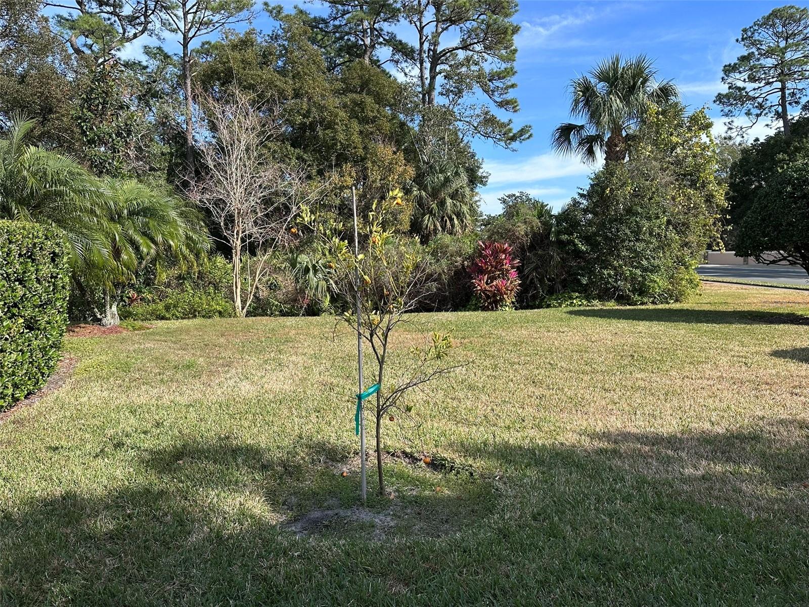 1895 COUNTRY CLUB BLVD, MOUNT DORA, FL, 32757