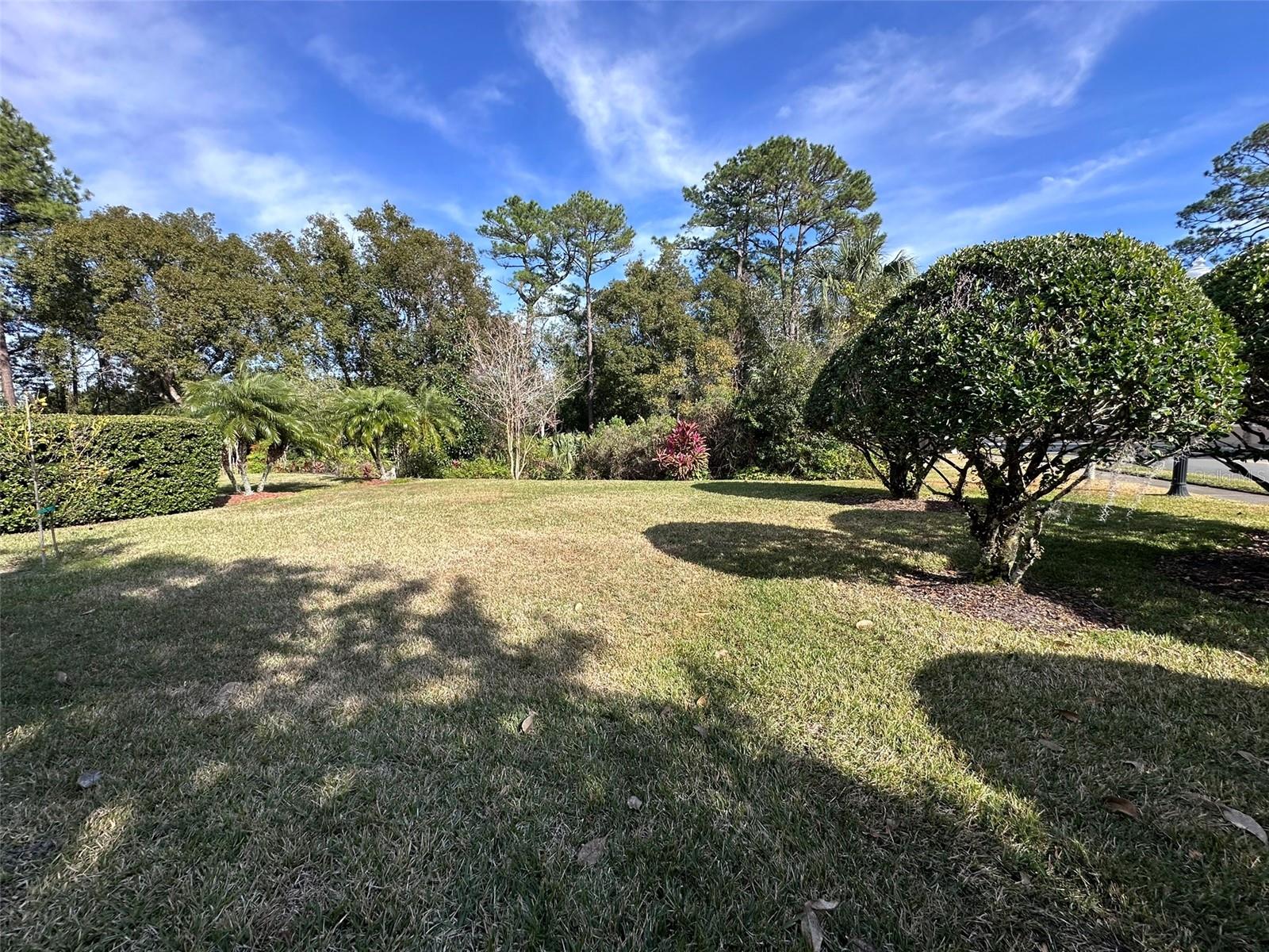 1895 COUNTRY CLUB BLVD, MOUNT DORA, FL, 32757