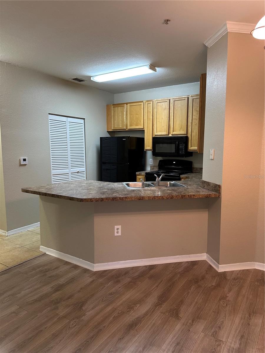 10025 COURTNEY PALMS BLVD #101, TAMPA, FL, 33619