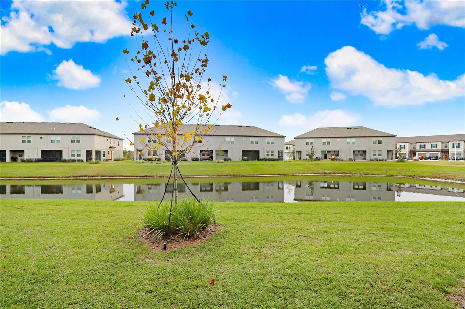 31894 BLUE PASSING LOOP, WESLEY CHAPEL, FL, 33545