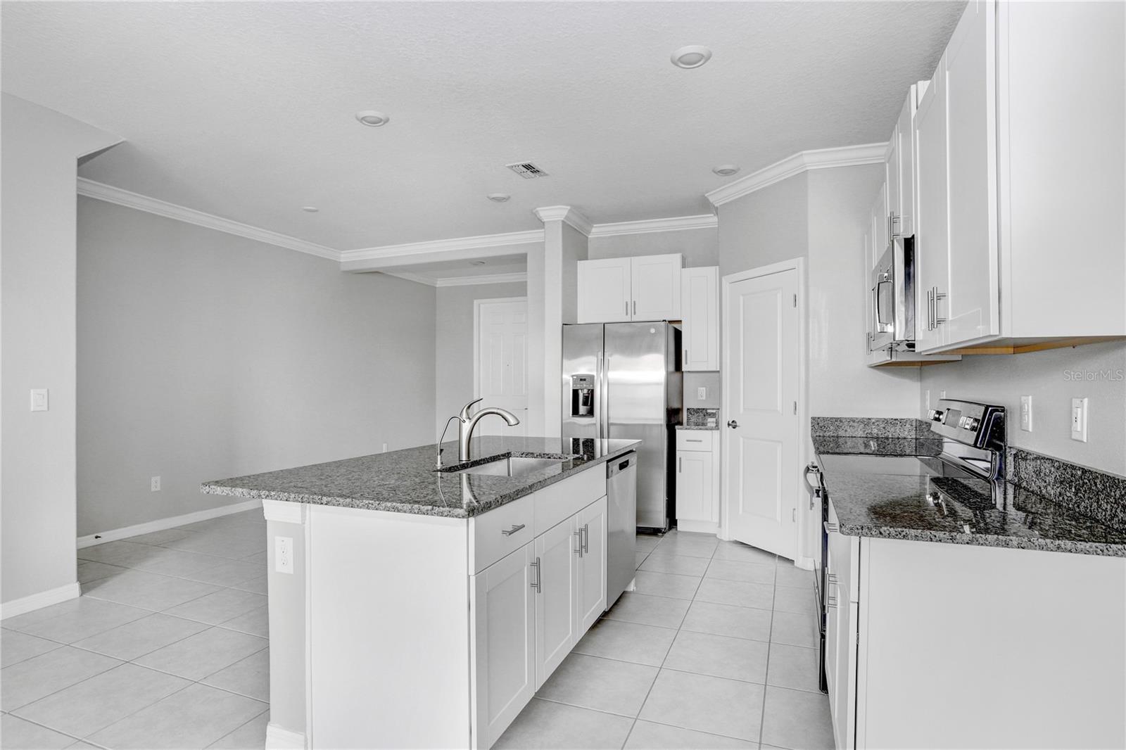 31894 BLUE PASSING LOOP, WESLEY CHAPEL, FL, 33545