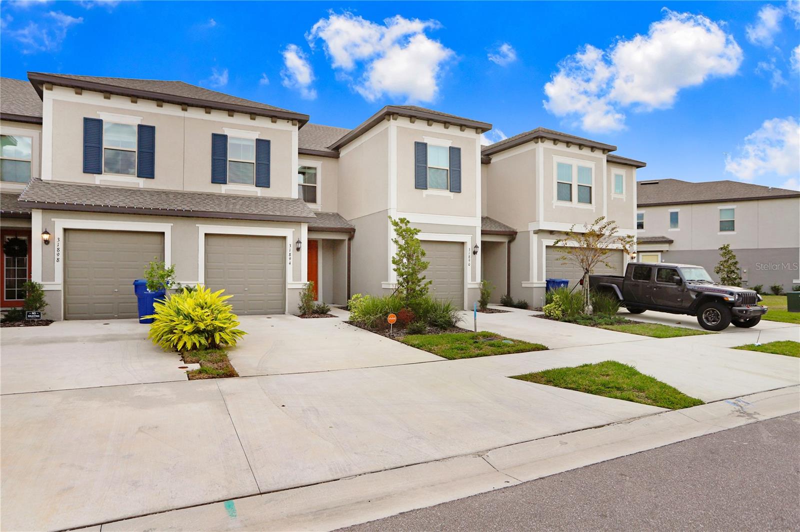 31894 BLUE PASSING LOOP, WESLEY CHAPEL, FL, 33545