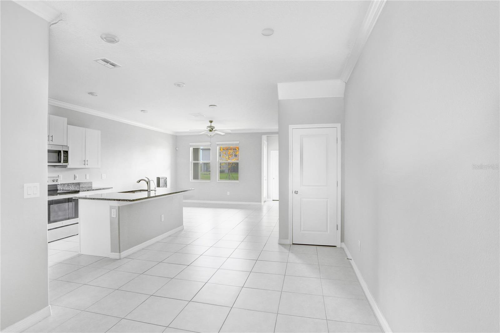 31894 BLUE PASSING LOOP, WESLEY CHAPEL, FL, 33545