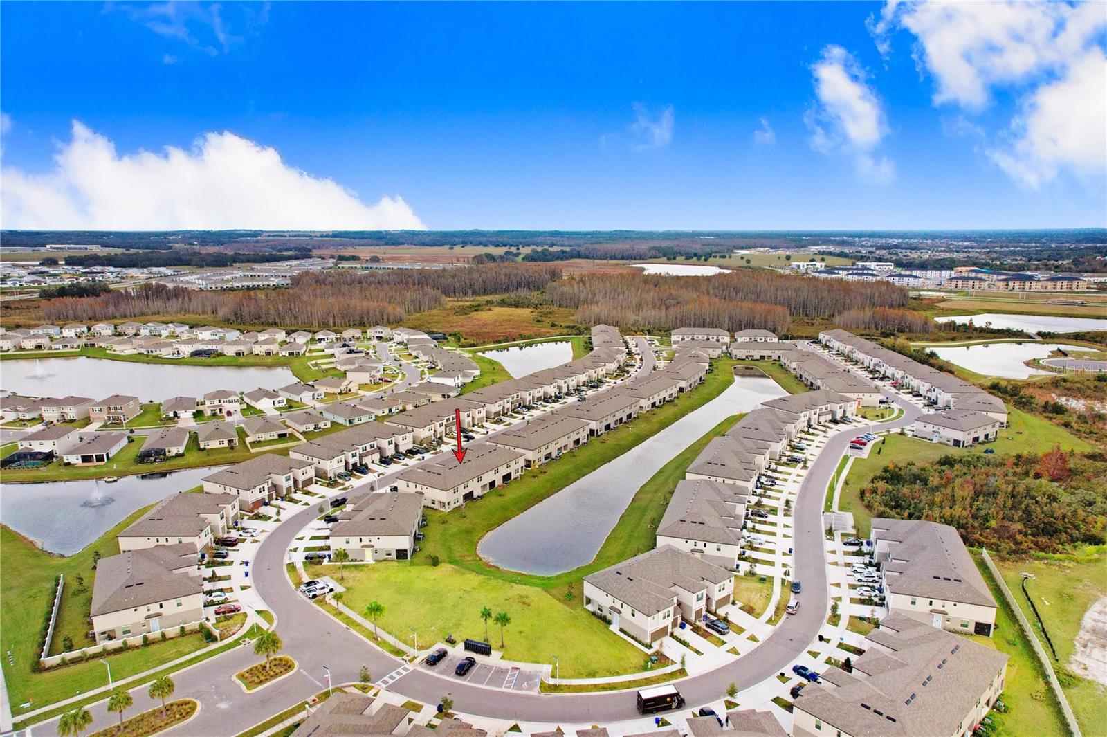 31894 BLUE PASSING LOOP, WESLEY CHAPEL, FL, 33545
