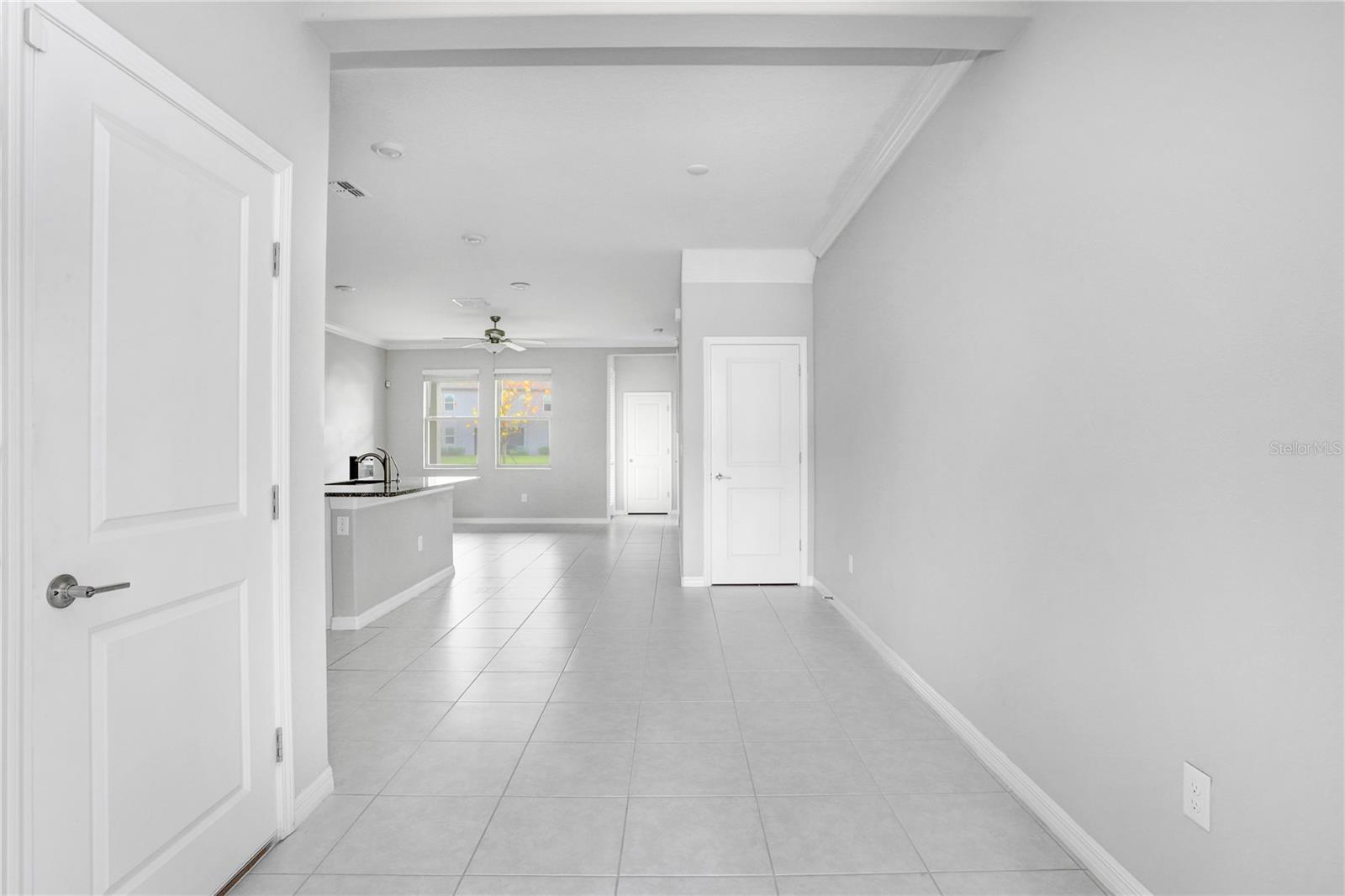 31894 BLUE PASSING LOOP, WESLEY CHAPEL, FL, 33545