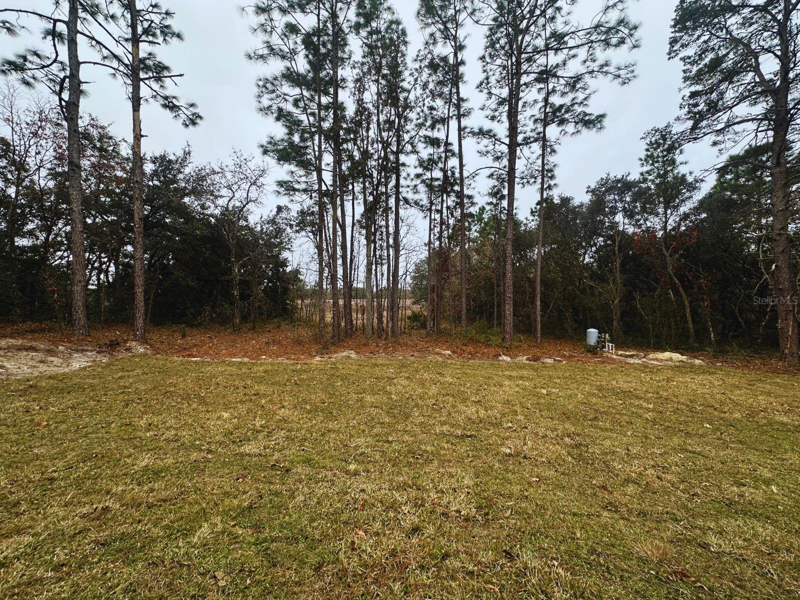 6576 SW 143RD LANE RD, OCALA, FL, 34473