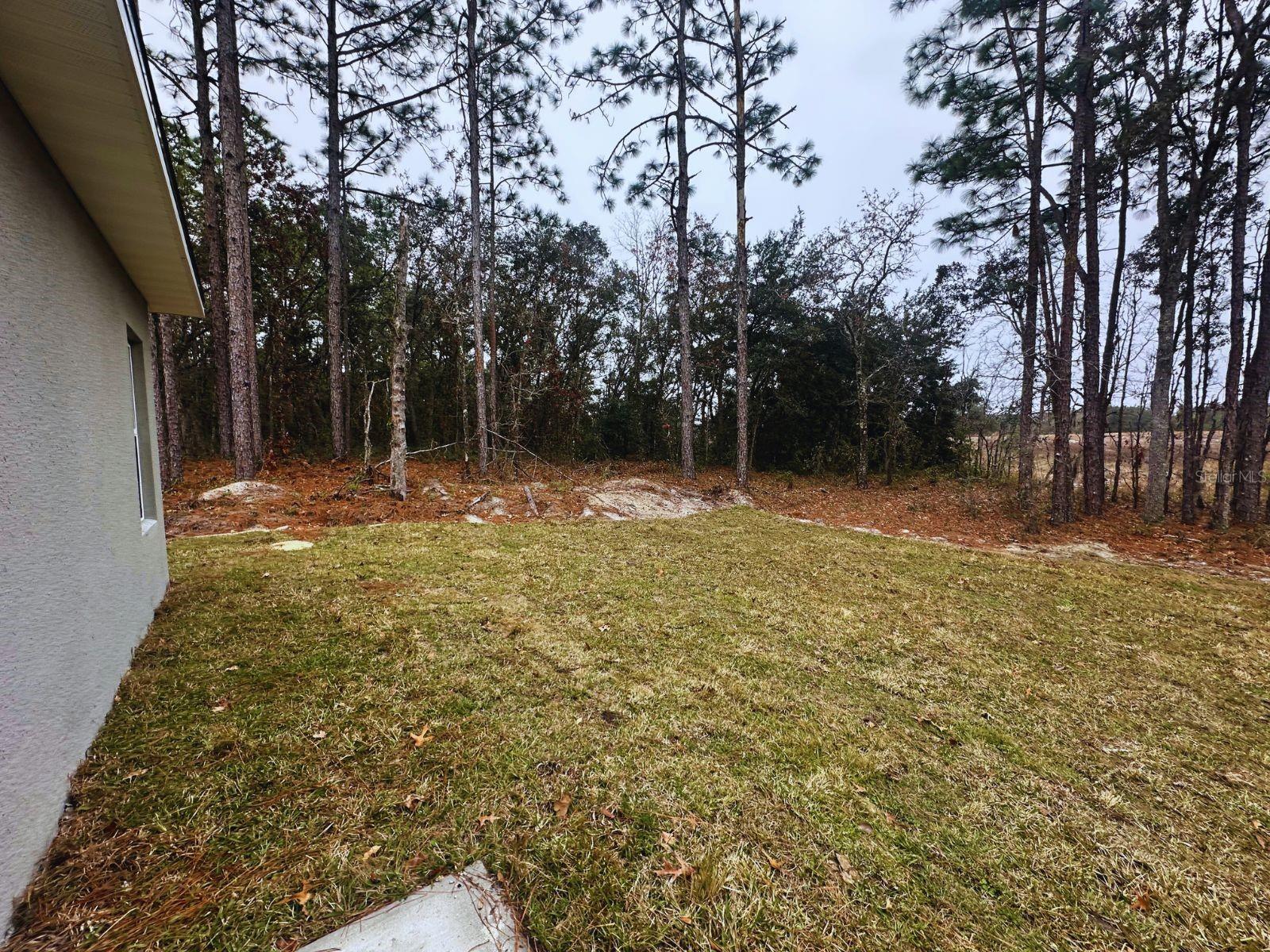6576 SW 143RD LANE RD, OCALA, FL, 34473