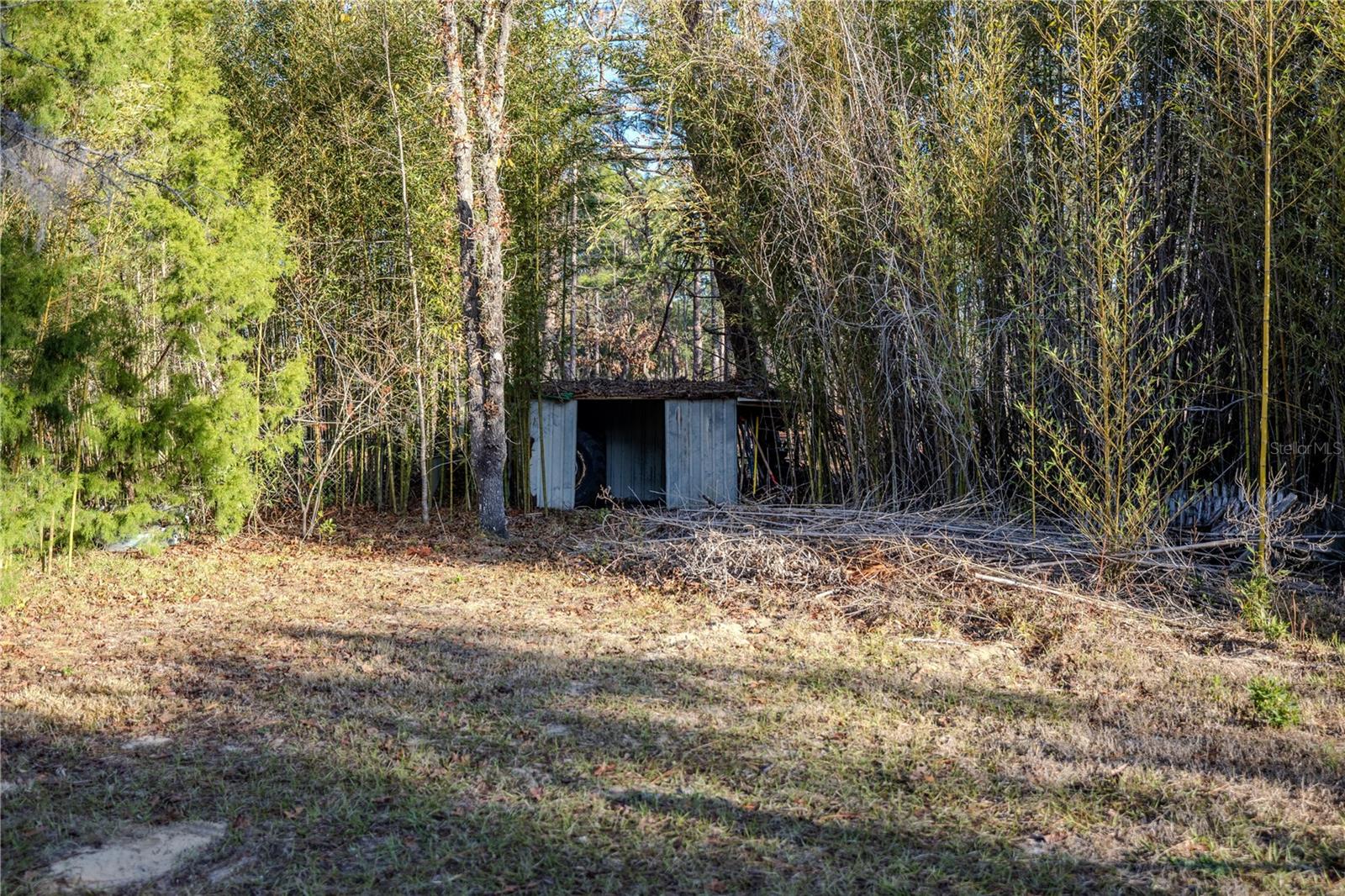 11317 SALINA ST, BROOKSVILLE, FL, 34614