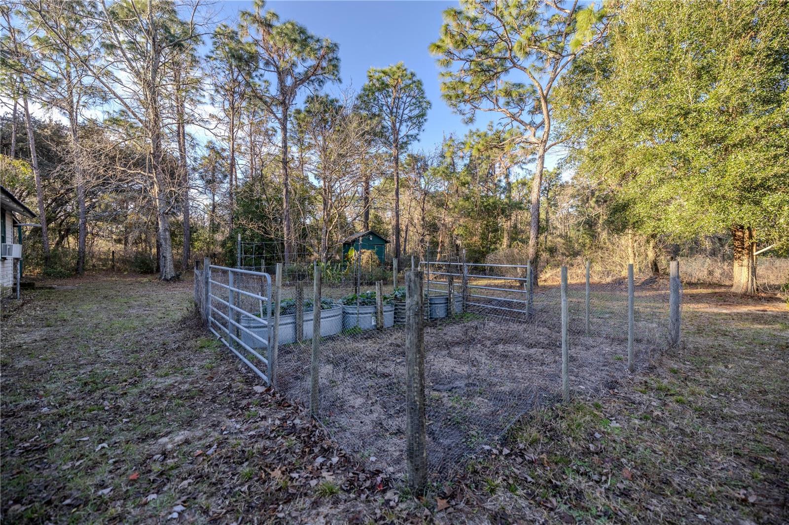 11317 SALINA ST, BROOKSVILLE, FL, 34614