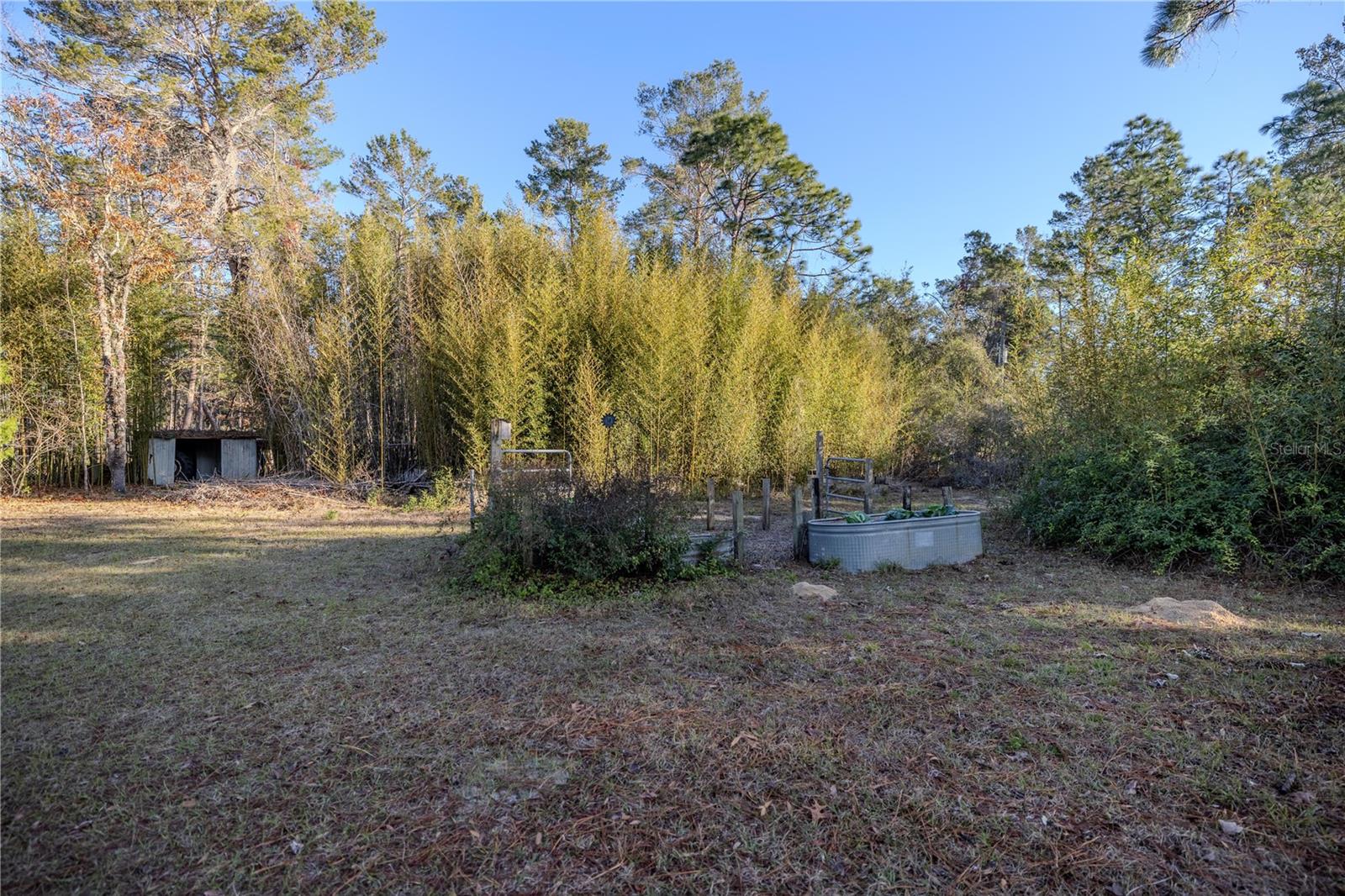 11317 SALINA ST, BROOKSVILLE, FL, 34614