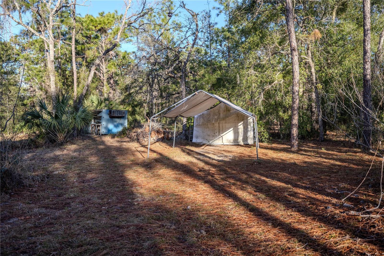 11317 SALINA ST, BROOKSVILLE, FL, 34614