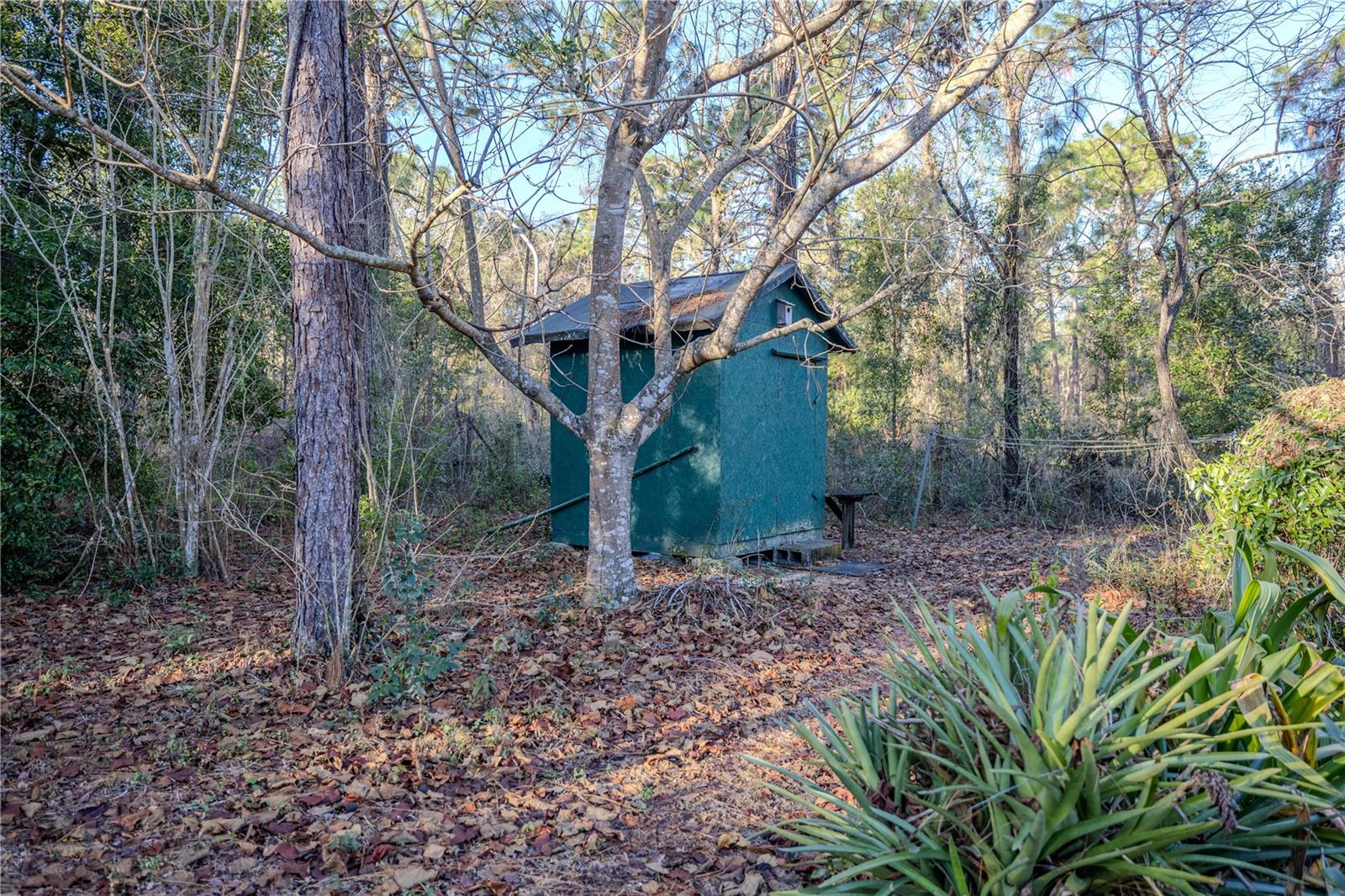 11317 SALINA ST, BROOKSVILLE, FL, 34614