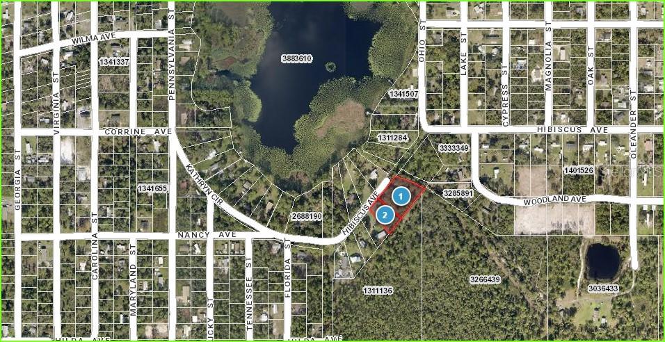 HIBISCUS AVE, PAISLEY, FL, 32767