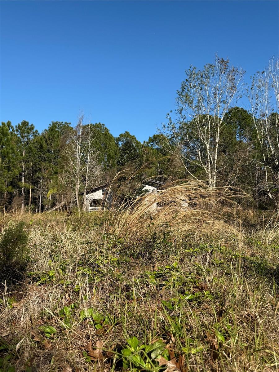 1686 OAK VIEW FARMS RD, OSTEEN, FL, 32764