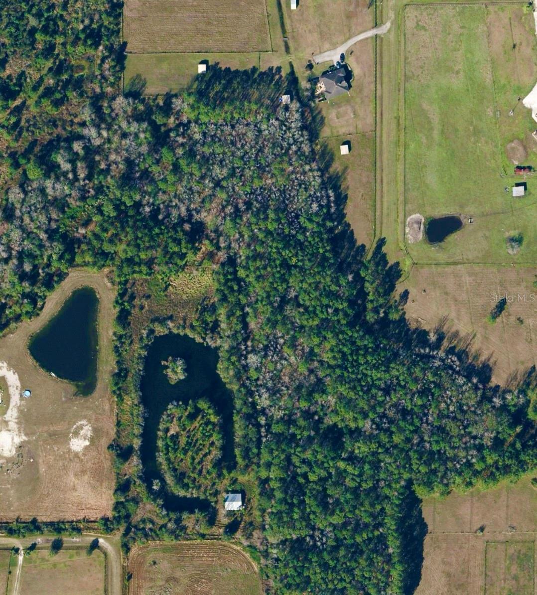 1686 OAK VIEW FARMS RD, OSTEEN, FL, 32764