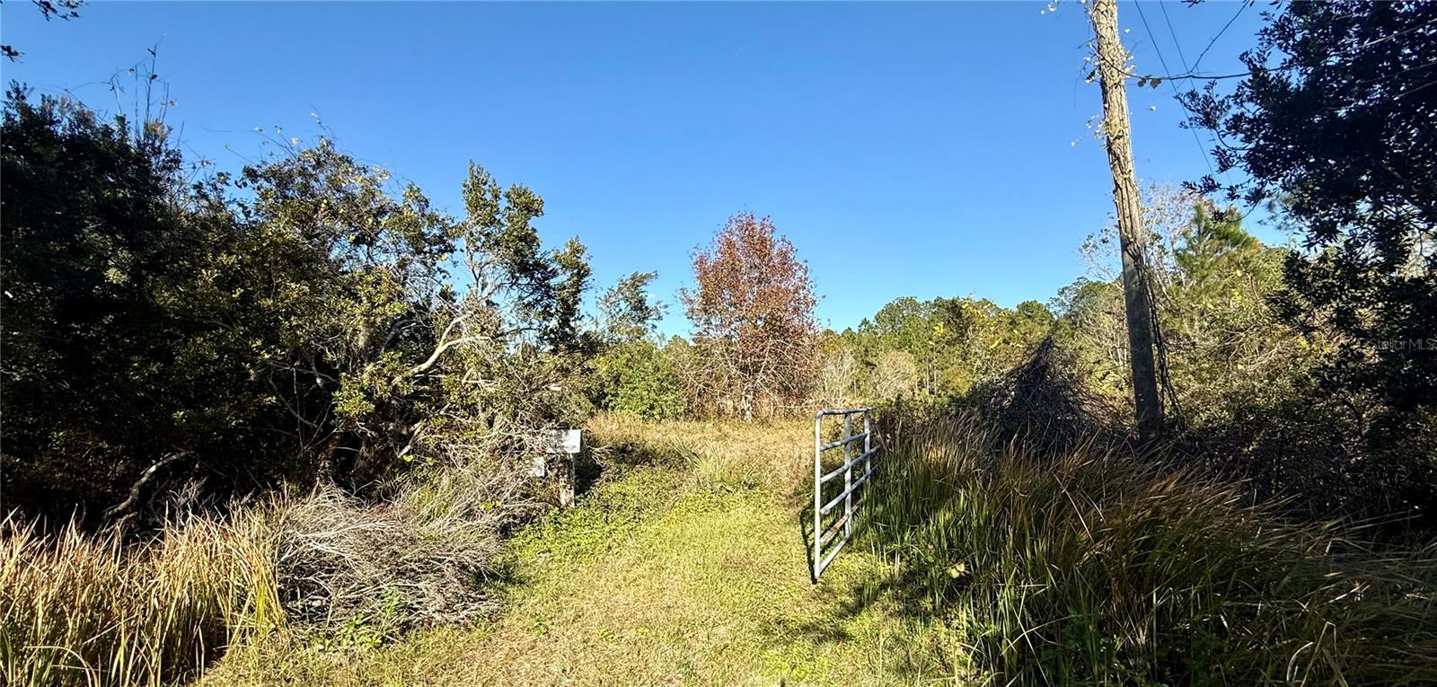 1686 OAK VIEW FARMS RD, OSTEEN, FL, 32764