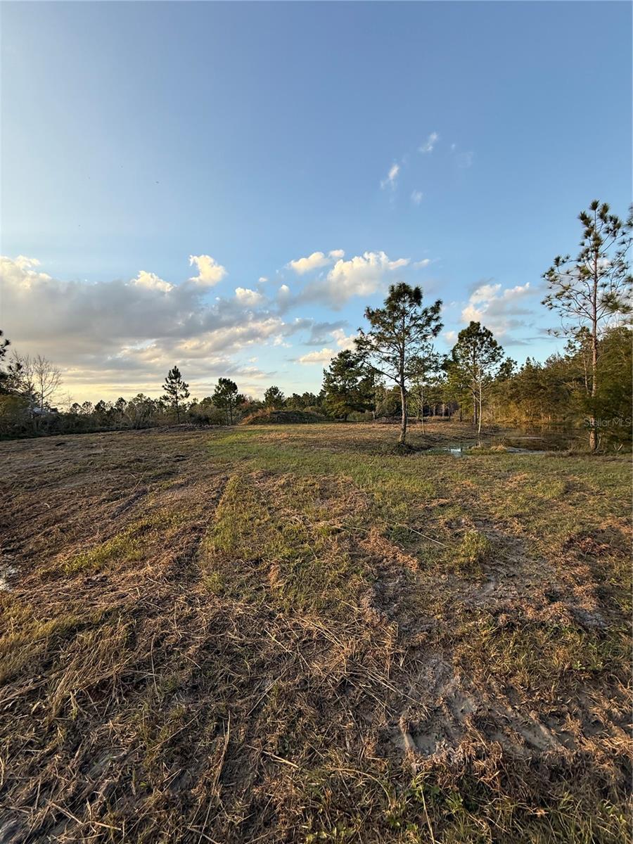 1686 OAK VIEW FARMS RD, OSTEEN, FL, 32764