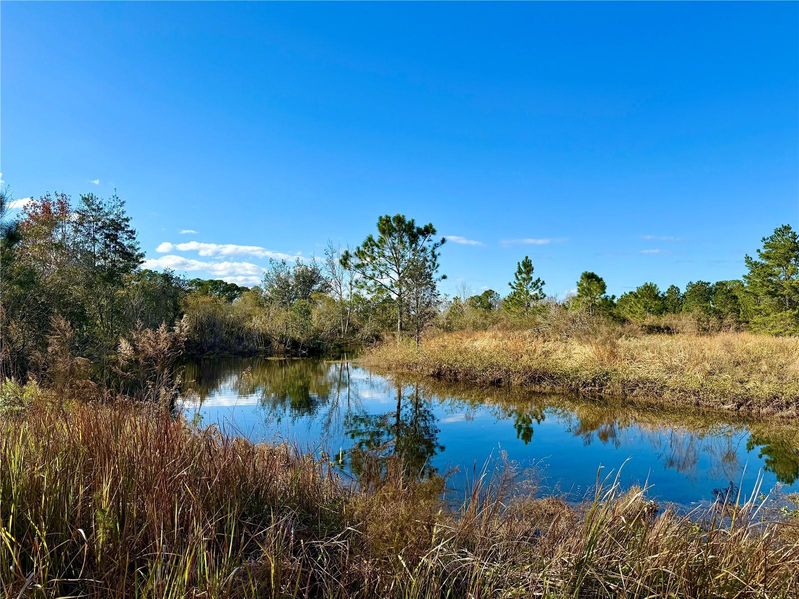 1686 OAK VIEW FARMS RD, OSTEEN, FL, 32764