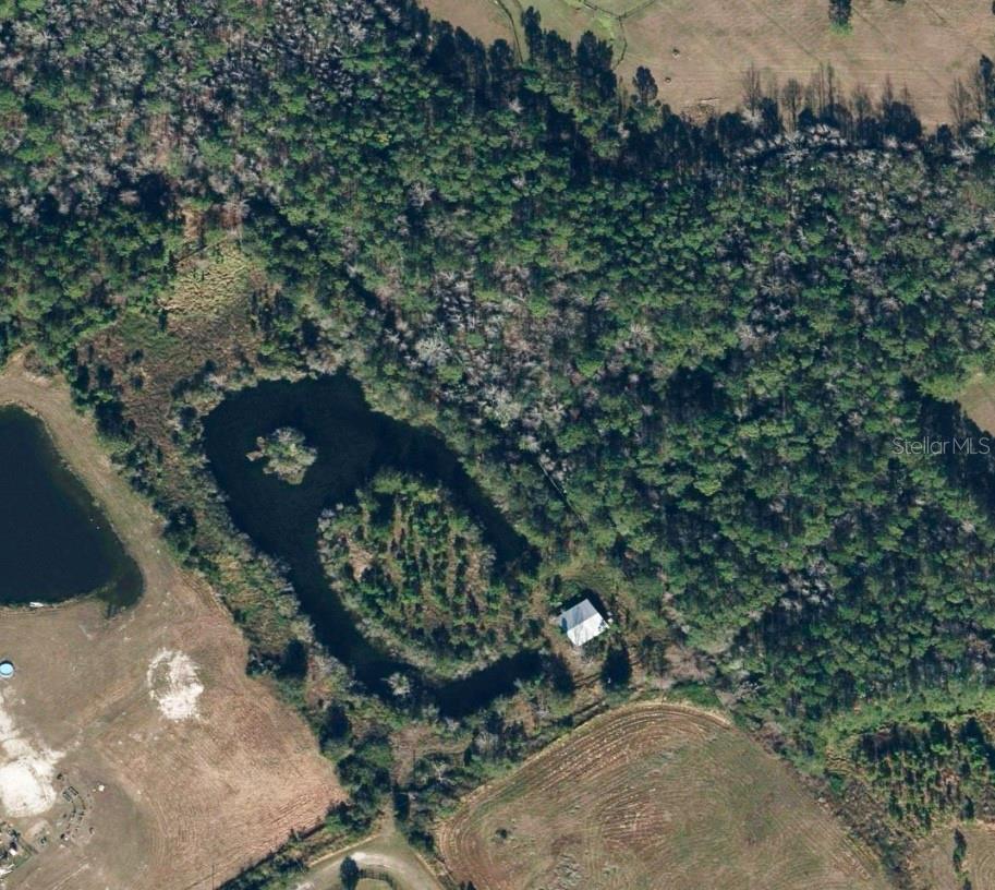 1686 OAK VIEW FARMS RD, OSTEEN, FL, 32764