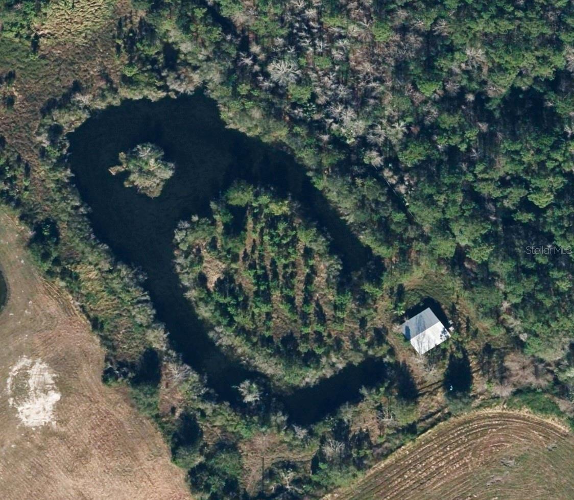 1686 OAK VIEW FARMS RD, OSTEEN, FL, 32764