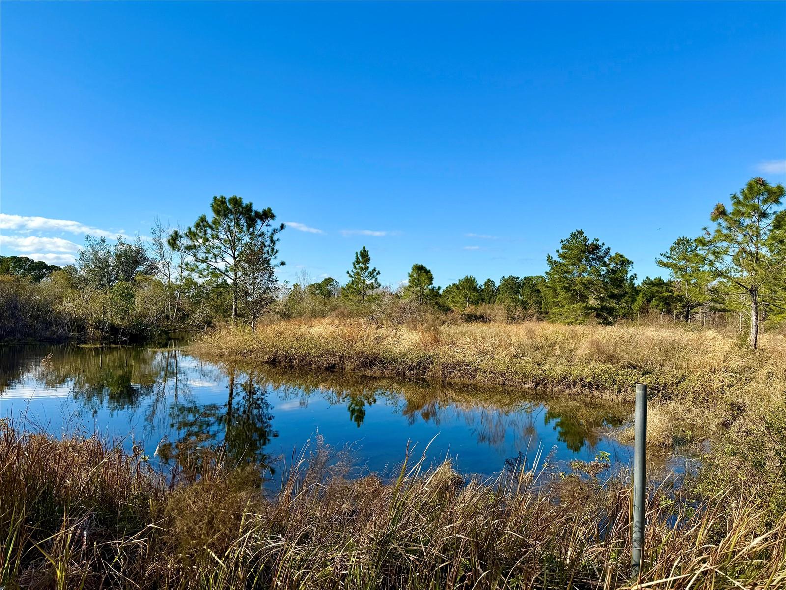 1686 OAK VIEW FARMS RD, OSTEEN, FL, 32764