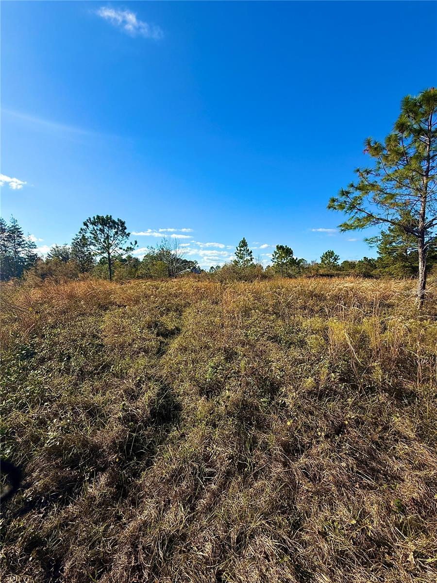 1686 OAK VIEW FARMS RD, OSTEEN, FL, 32764