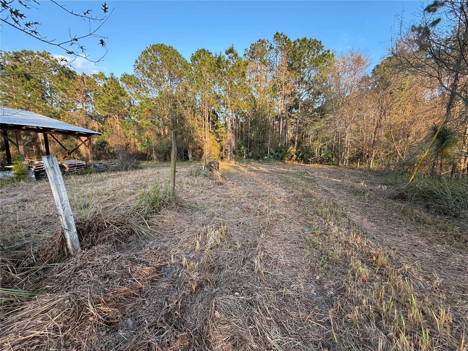 1686 OAK VIEW FARMS RD, OSTEEN, FL, 32764