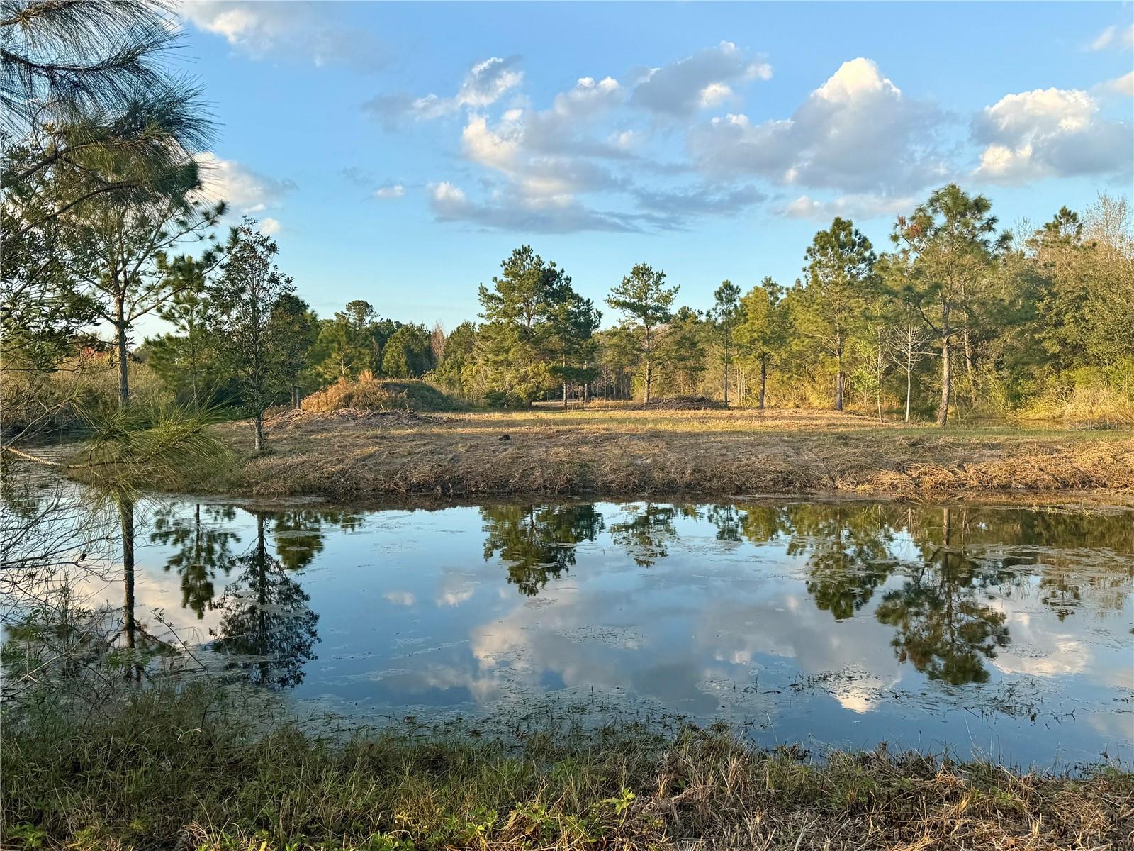 1686 OAK VIEW FARMS RD, OSTEEN, FL, 32764