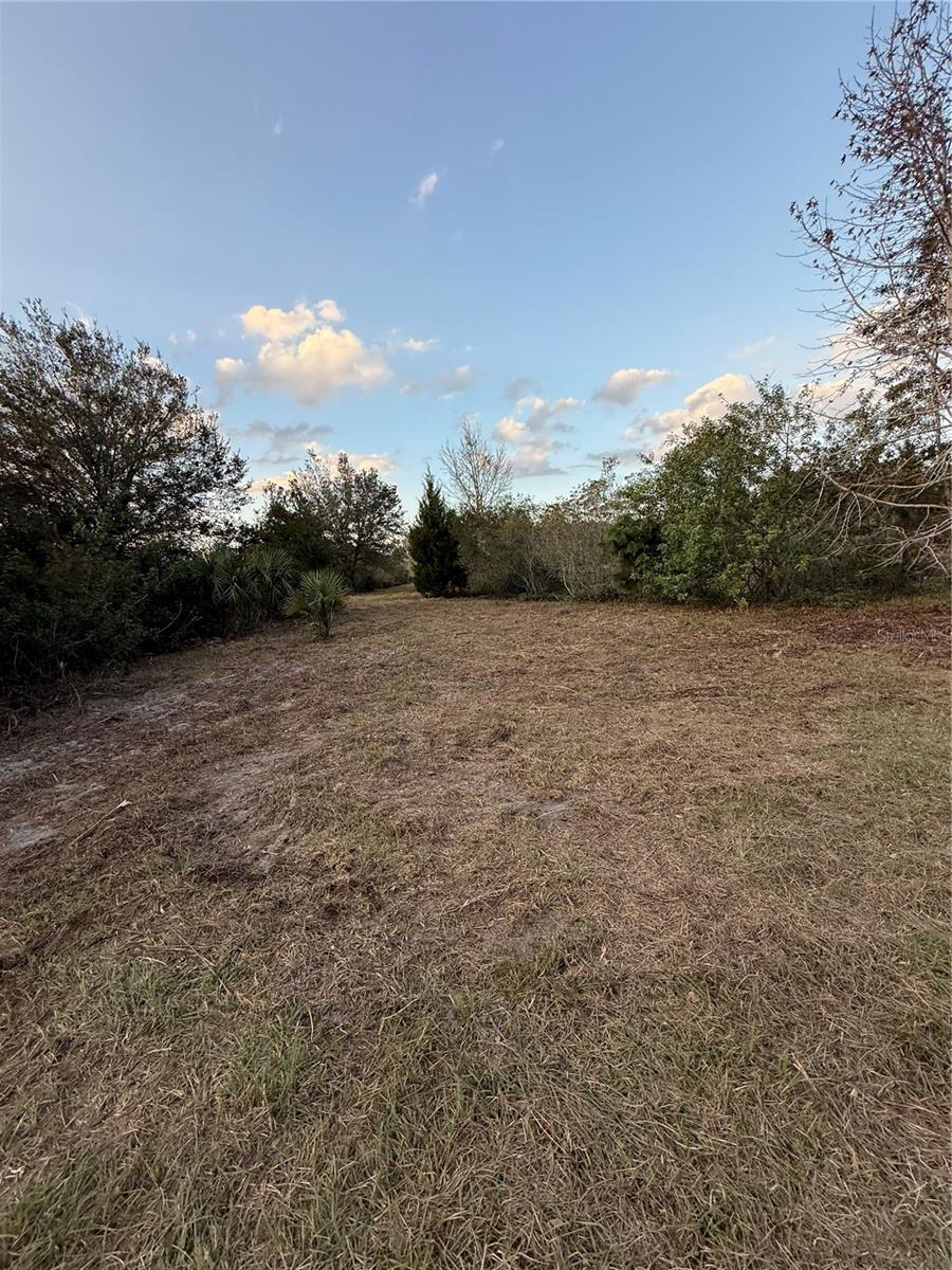 1686 OAK VIEW FARMS RD, OSTEEN, FL, 32764