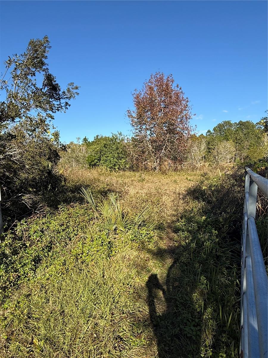 1686 OAK VIEW FARMS RD, OSTEEN, FL, 32764