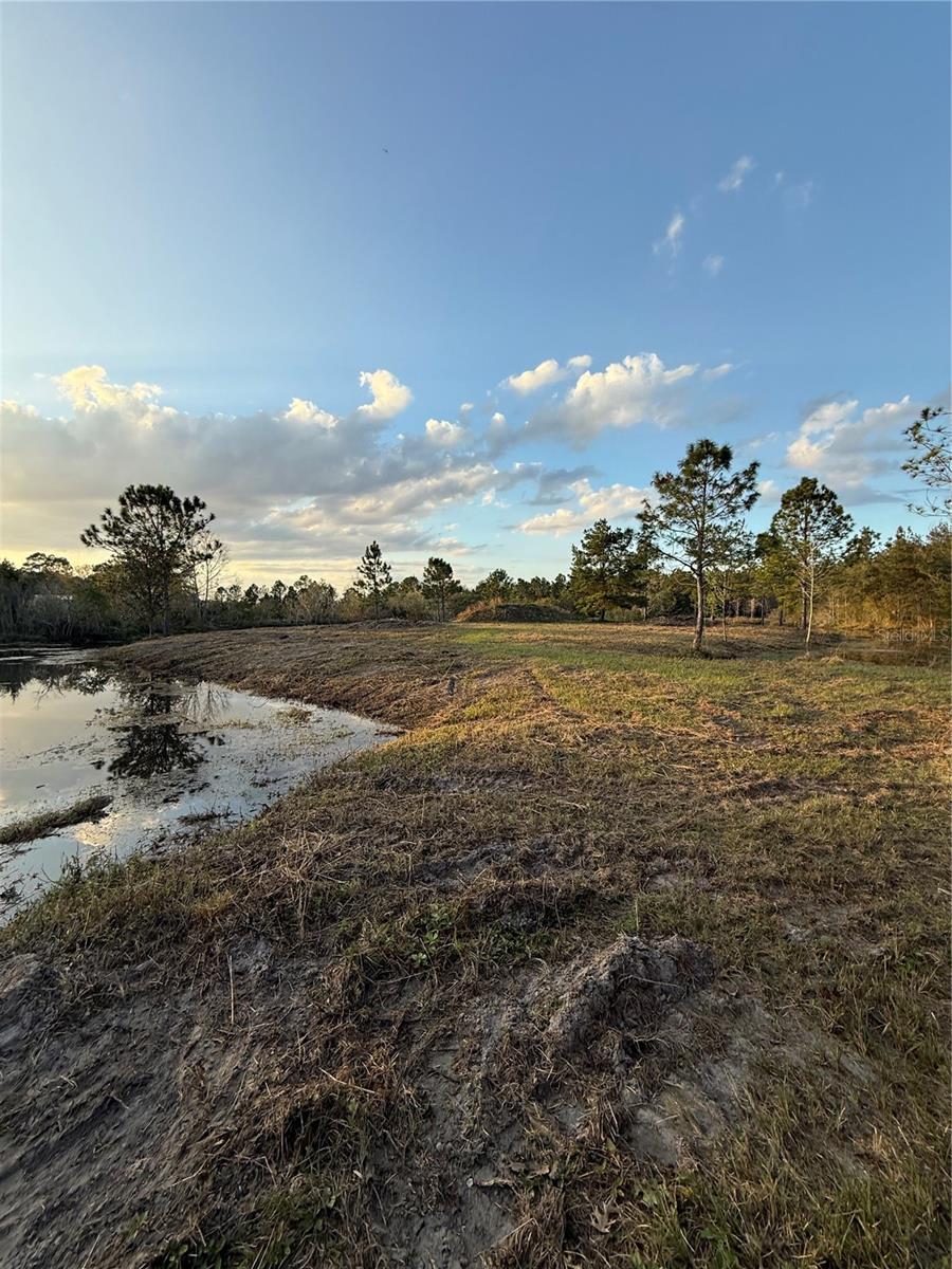 1686 OAK VIEW FARMS RD, OSTEEN, FL, 32764