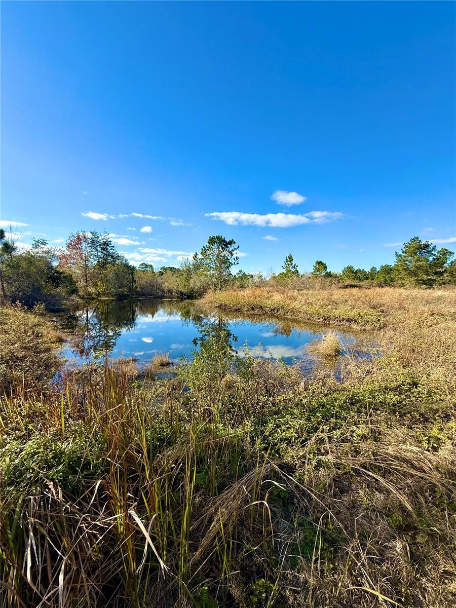 1686 OAK VIEW FARMS RD, OSTEEN, FL, 32764
