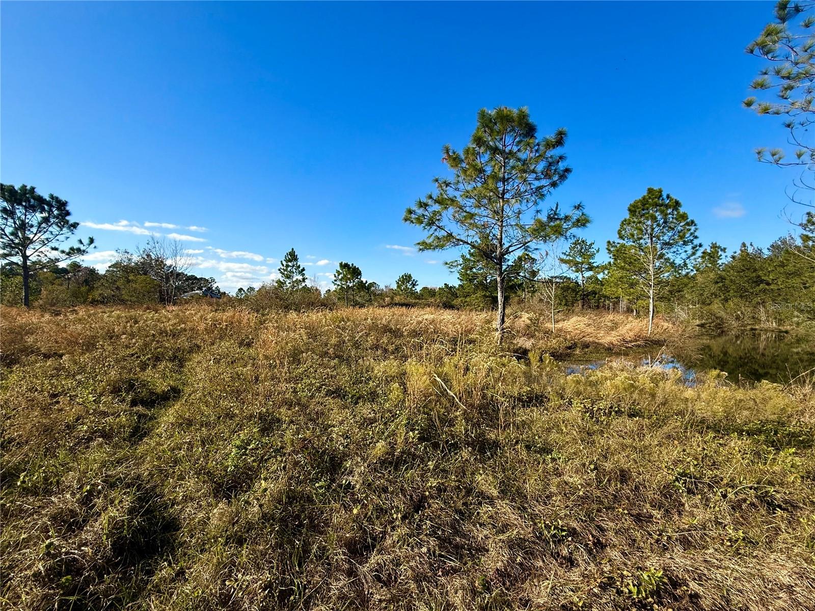 1686 OAK VIEW FARMS RD, OSTEEN, FL, 32764
