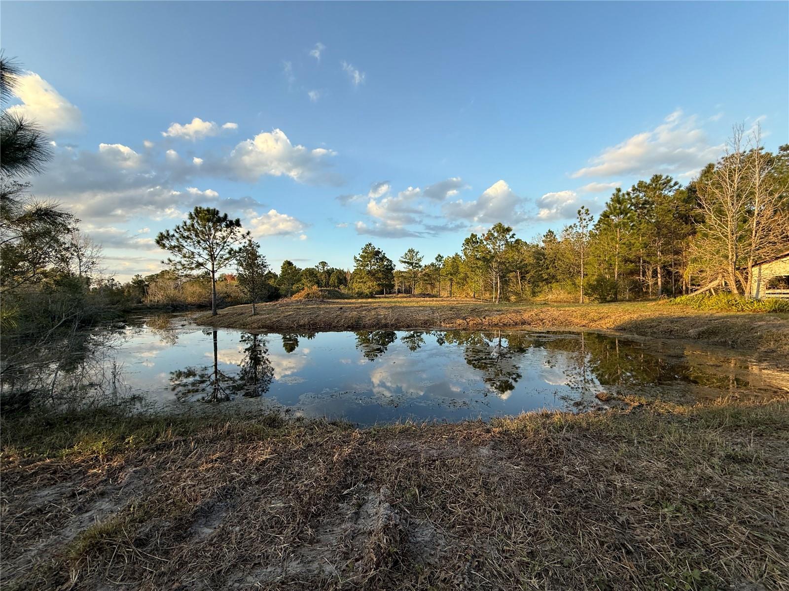 1686 OAK VIEW FARMS RD, OSTEEN, FL, 32764