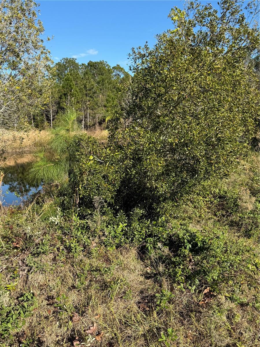 1686 OAK VIEW FARMS RD, OSTEEN, FL, 32764