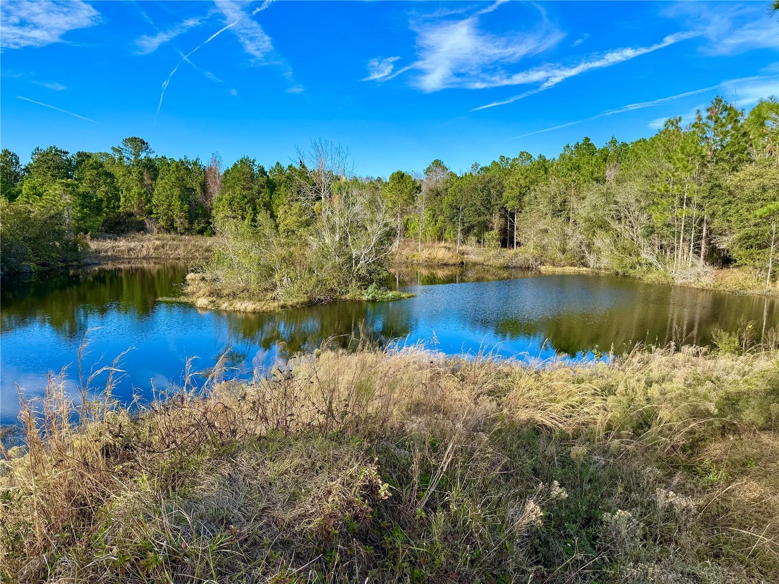 1686 OAK VIEW FARMS RD, OSTEEN, FL, 32764