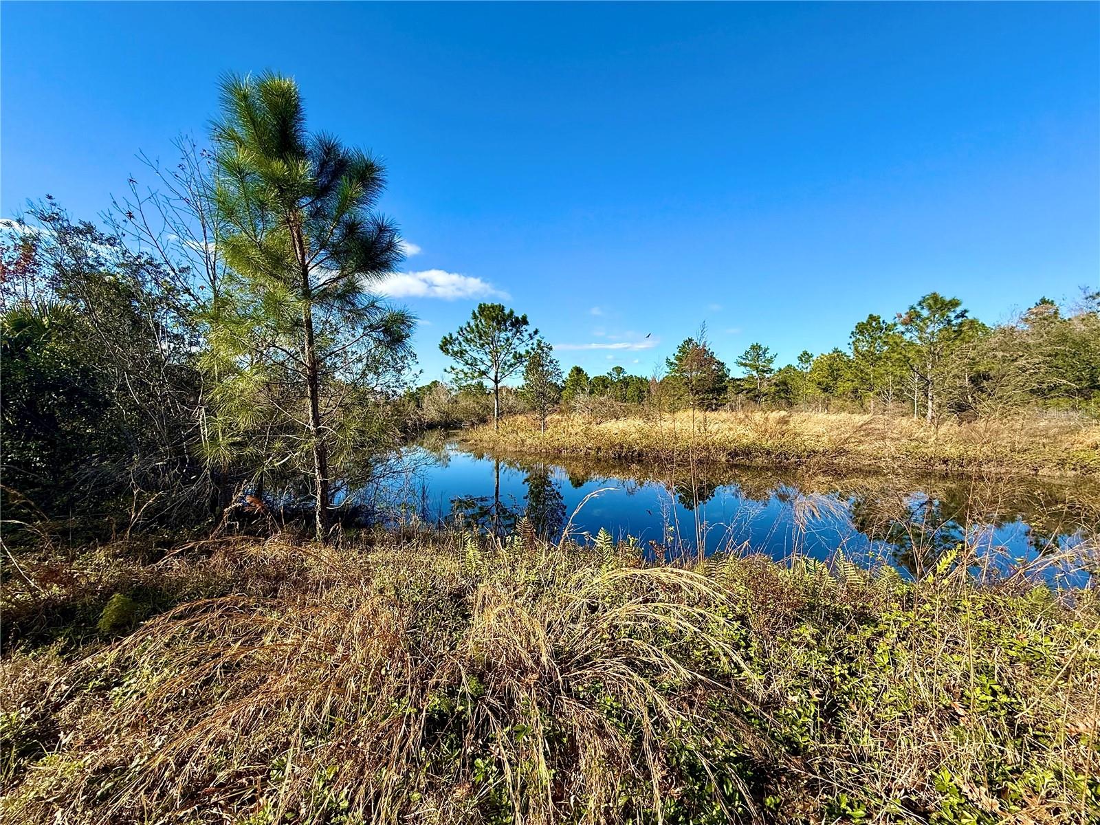 1686 OAK VIEW FARMS RD, OSTEEN, FL, 32764