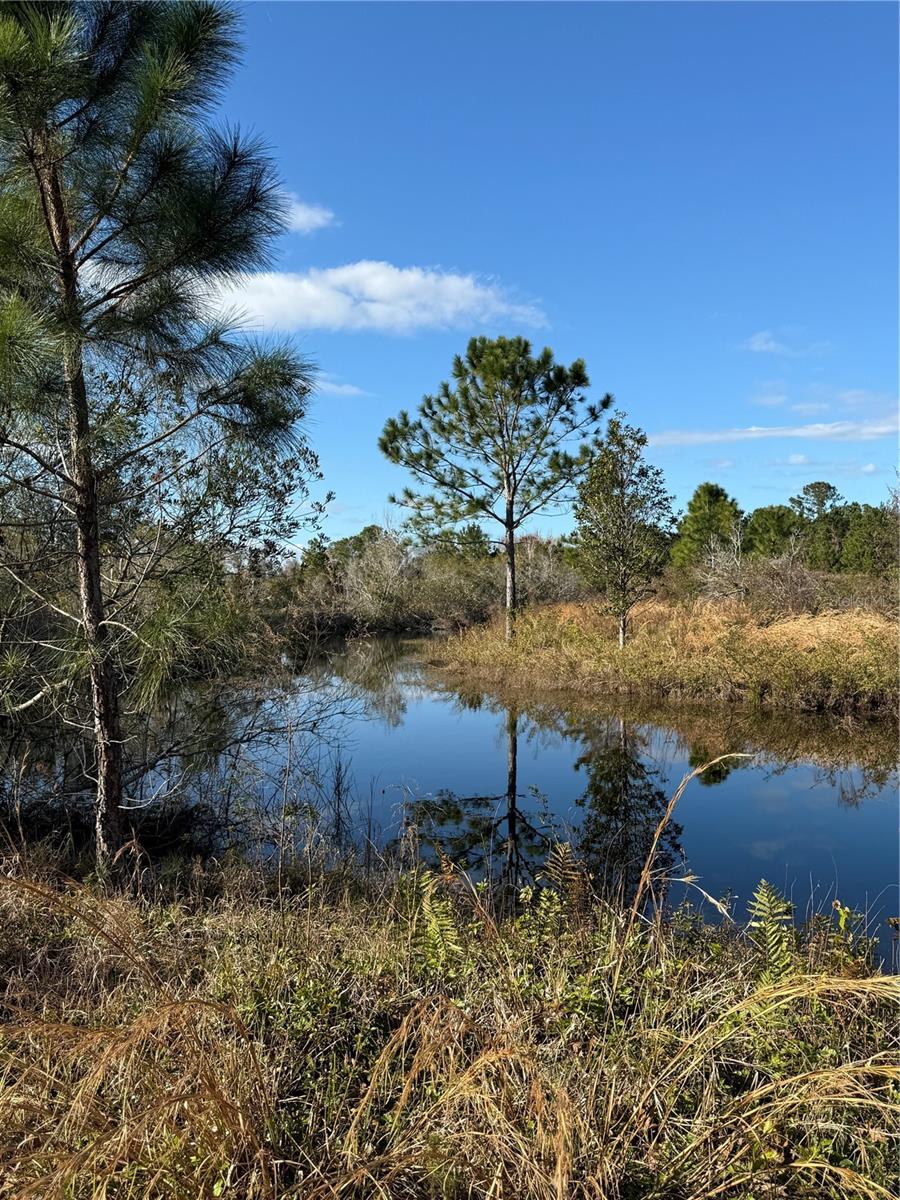 1686 OAK VIEW FARMS RD, OSTEEN, FL, 32764