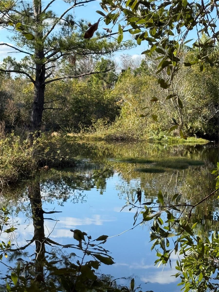 1686 OAK VIEW FARMS RD, OSTEEN, FL, 32764